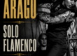 Solo Flamenco